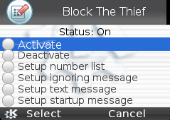 Block The Thief